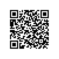 皖南电机召开驻外销售经理迎春座谈会