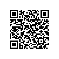 泾县云岭镇19家重点企业的负责人来威能电机学习交流