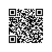 QWN.291-2021 YE4系列(IP55)三相异步电动机技术条件（机座号63～355）2