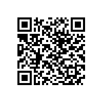 QWN.300-2022 YBX4系列高效率隔爆型三相异步电动机技术条件 (机座号80～355)