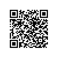 QWN.621-2022 YFBBP 系列粉尘防爆型变频调速三相异步电动机技术条件(机座号80～355)