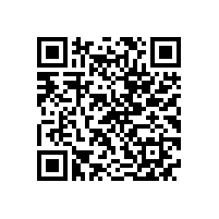 苏尔寿全球采购总监一行来皖南电机参观考察