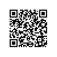 皖南电机举办庆祝建党95周年表彰大会