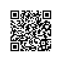 皖南电机通过上海宝钢二方体系审核