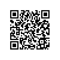 皖南电机信息化升级项目蓝图汇报会