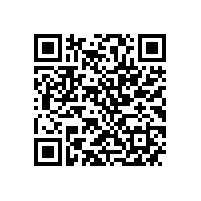 中机企协常务副会长杨一平来皖南电机调研指导