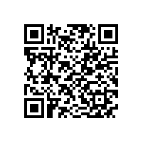 500万KW大功率高效电机项目开工建设