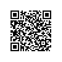 安徽省人大副主任臧世凯考察皖南电机