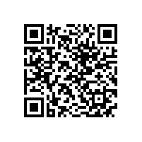 QWN.291-2021 YE4系列(IP55)三相异步电动机技术条件（机座号63～355）2