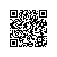 QWN.300-2022 YBX4系列高效率隔爆型三相异步电动机技术条件 (机座号80～355)