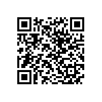 QWN.600-2021 YE3系列(IP55)三相异步电动机技术条件(机座号63～355)