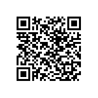 QWN.621-2022 YFBBP 系列粉尘防爆型变频调速三相异步电动机技术条件(机座号80～355)