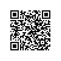 苏尔寿全球采购总监一行来皖南电机参观考察