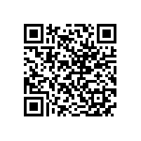皖南电机党委召开民主生活会