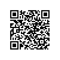 皖南电机举办第三届质量主题论坛活动