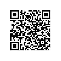 皖南电机信息化升级项目蓝图汇报会