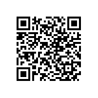 皖南电机样本-YBS系列