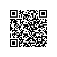 中机企协常务副会长杨一平来皖南电机调研指导