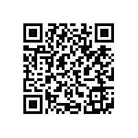 安徽省人大副主任臧世凯考察皖南电机