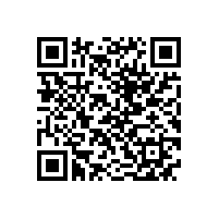 QWN.621-2022 YFBBP 系列粉尘防爆型变频调速三相异步电动机技术条件(机座号80～355)