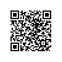 QWN.630-2022 YE5系列（IP55）三相异步电动机 技术条件（机座号63-355）