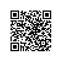 皖南电机各党支部举行换届选举