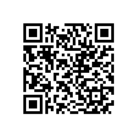 皖南电机获县“明星工业企业”荣誉称号