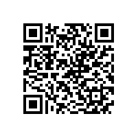 皖南电机举办庆祝建党95周年表彰大会