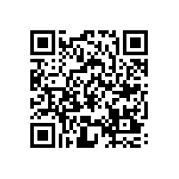 皖南电机信息化升级项目蓝图汇报会