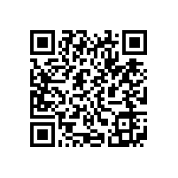 皖南电机样本-YBS系列