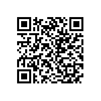 皖南电机召开十一月月工作计划会