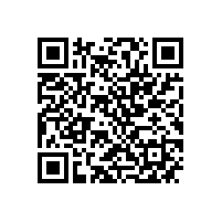 中机企协常务副会长杨一平来皖南电机调研指导