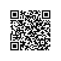 安徽省“调转促”专家组来皖南电机支招