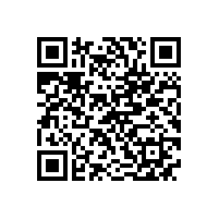 第十七届中国电机及系统发展论坛在泾县隆重举行