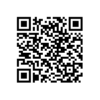 皖南高压电机-Y2系列高压（6kV）