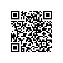 皖南高压电机-YHP系列（电站磨煤机专用）