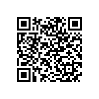 宣城市委书记李中来皖南电机调研