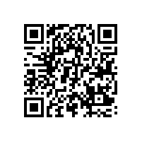 安徽皖南电机股份有限公司九届二次股东大会召开