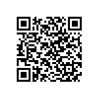 泾县云岭镇19家重点企业的负责人来威能电机学习交流