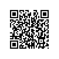 QWN.291-2021 YE4系列(IP55)三相异步电动机技术条件（机座号63～355）2