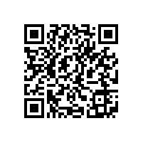 QWN.621-2022 YFBBP 系列粉尘防爆型变频调速三相异步电动机技术条件(机座号80～355)