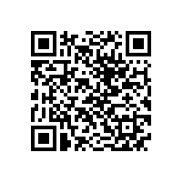 QWN.630-2022 YE5系列（IP55）三相异步电动机 技术条件（机座号63-355）