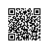 苏尔寿全球采购总监一行来皖南电机参观考察