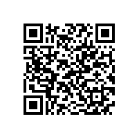 省经信厅在我公司开展活动