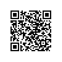 武钢公司来皖南电机进行二方审核