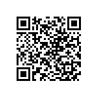 皖南电机通过上海宝钢二方体系审核