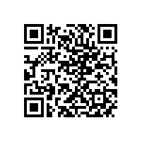 威能公司YXKK900-6 6000KW电机快速交付