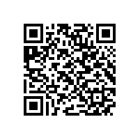 安徽皖南电机股份有限公司九届二次股东大会召开