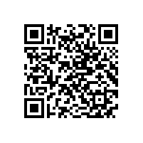 公司举行“皖南电机厂”景石揭幕仪式