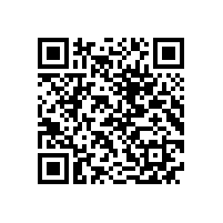 QWN.211-2021 YJZ2系列机床专用三相异步电动机技术条件（机座号80～355）